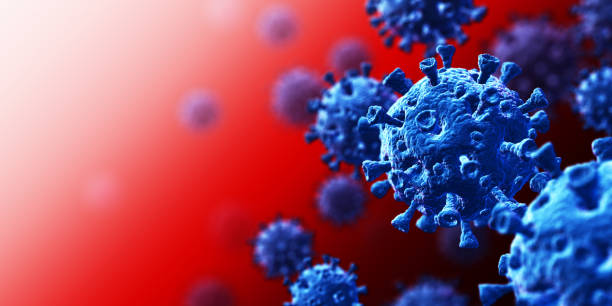 2023 coronavirus - cdc hepatitis b vaccine for healthcare workers